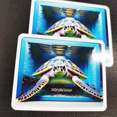 送料無料　海亀　ウミガメ「ウミガメ　トリックアート　ステッカー」（約４８ｍｍ×約６０ｍｍ）※２枚セット販売🎵