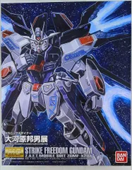 2025年最新】MG ストライクフリーダム 大河原邦男の人気アイテム