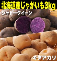 【残りわずか】北海道産じゃがいも詰め合わせ3kg  野菜  不揃い  【北海道ちとせ空マチ！】