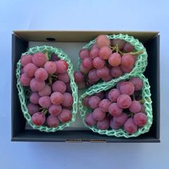 【クール便】山梨県産 クイーンニーナ 3房〜4房 ご家庭用