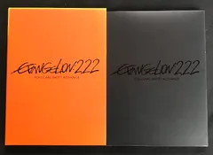 2 ヱヴァンゲリヲン新劇場版 破 EVANGELION:2.22 YOU CAN (NOT) ADVANCE 庵野秀明 林原めぐみ [DVD]