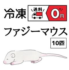 国産・冷凍】ピンクマウスLサイズ 10匹 - メルカリ