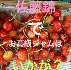 減農薬栽培山形県東根市産　高級さくらんぼジャムにいかが？生でも美味しい！とのお声続出！小粒ちゃん加工用