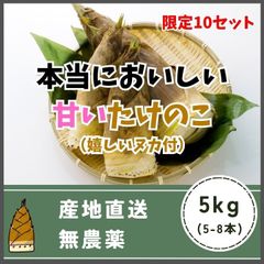 期間限定！甘い！無農薬 天然 竹の子 筍 たけのこ タケノコ 5kg