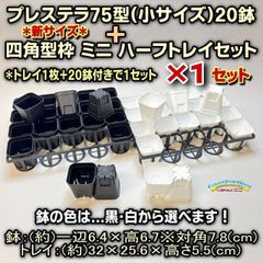 鉢の縁は重なりません◆平日＊日中注文即日発送-プレステラ75(硬質スリットポット2号相当)黒・白20鉢＋四角型ハーフ浅型トレイセット×1セット＊多肉植物・塊根植物コーデックス・アガベ・サボテン・ハオルチア・アデニウム・パキポディウム・実生＠フラワーショップ江口