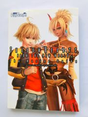 シャドウハーツ　フロム　ザ　ニューワールド　ザ・マスターガイド PS2 攻略本 初版 Shadow Hearts from the New World The Master Guide PS2 Strategy Book First Edit