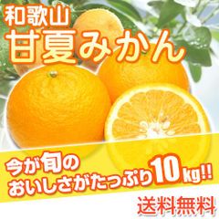 【予約】甘夏みかん 和歌山県産 訳あり あまなつ ご自宅用 10kg 発送予定日: 5月中旬頃から