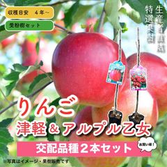 りんご津軽＆アルプス乙女　受粉２本セット