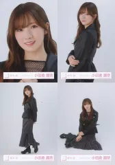 【中古】生写真(乃木坂46) ◇櫻坂46/小田倉麗奈/櫻坂46ランダム生写真【レザージャケットコーデ】 4種コンプリートセット