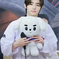 ソンフン 40cm フンデンイ ぬいぐるみ