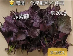 2025年最新】赤紫蘇 無農薬の人気アイテム - メルカリ