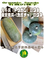 東京南瓜（固定種）のタネ5粒と長冬瓜（固定種）のタネ10粒 無農薬無化学肥料栽培のタネ