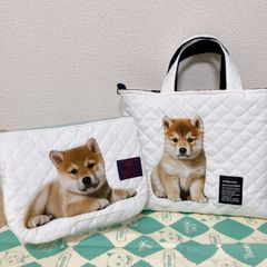 No.243】コヤンイサムチョン 500mlペットボトル2本入る保冷