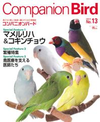 Starlit～君がくれた優しい光 (完全版)(コンプリート・シンプル