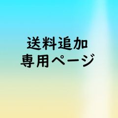 送料追加専用ページ