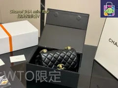 【今日特価】Chanel チャットバッグ（小可?）18×12cm-WTO輸入2