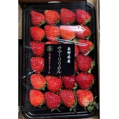 《予約販売 7/20収獲》人気抜群の長野県オリジナル夏いちご　サマーリリカル 200g×4【長野県富士見産】