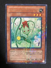 ナチュルローズウィップ レアパラ（DTC2）3枚セット 2025年最新】ナチュルローズウィップの人気アイテム - メルカリ
