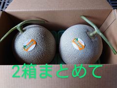宝様専用】夕張メロン共撰品秀品2玉 1玉約2kg冷蔵×2箱 - メルカリ