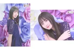 2025年最新】乃木坂46 10th year birthday live ポスターの人気