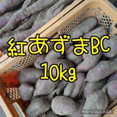 紅あずまBC10kg - メルカリ