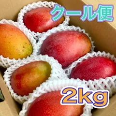 沖縄本島産 ミニマンゴー2kg♪【安心のクール便・期間限定お買得価格セット！】 沖縄県産ミニマンゴー2kg 16〜32個入 送料無料 ご家庭用 ギフト