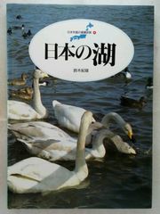 白鳥の帰る湖 竹野栄 昭和レトロ 旺文社 読書感想文 古書 - メルカリ