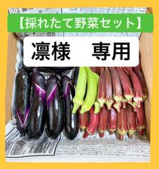 凛様　専用ページ