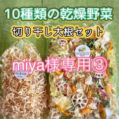 【miya様専用③】10種類の乾燥野菜100gと切り干し大根50g