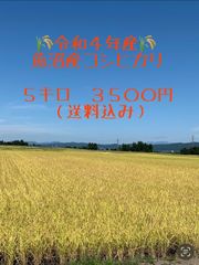 【農家直送】令和4年産　魚沼産コシヒカリ　5キロ（白米）