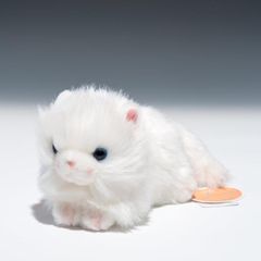たけのこ プチどりーむ ミニ A ペルシャネコ ぬいぐるみ 95030
