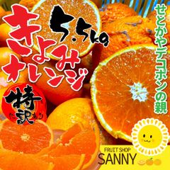 デコポン や せとか を生んだ親種 みかん界にゼリー食感革命を起こした 愛媛県産 特に訳あり 清美オレンジ 箱込5.5kg (5kg+保証分500g) ※沖縄・離島・北海道は発送不可