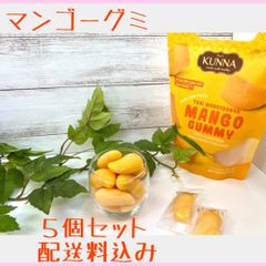 マンゴーグミ 新食感　【100g×5】