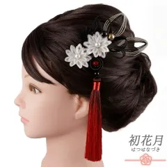 髪飾り 成人式 水引 赤 ゴールド 振袖 袴 花 白 黒 房 組紐 大きい 小さい 2点セット 着物 和装 かんざし Uピン 大人 かわいい No.9-5614