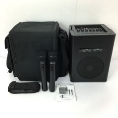 SANWA SUPPLY サンワサプライ 400-SP066 ワイヤレスマイク付き