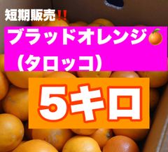 数量限定！ブラッドオレンジ5キロ