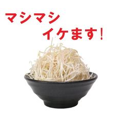 21cm丼 黒曜鳴門ラーメン丼 [20.5 x 8.6cm 1,300cc] | アウトレット 【sale-item-55】  業務用 ラーメン 中華 黒 どんぶり 大盛 二郎系 家系