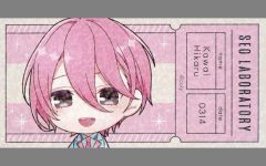 スタンドマイヒーローズ 可愛ひかる 7周年クリアチケット - メルカリ