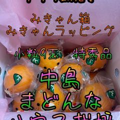 【ゲリラ販売】中島まどんな　小粒9玉　みきゃん箱&みきゃんラッピング