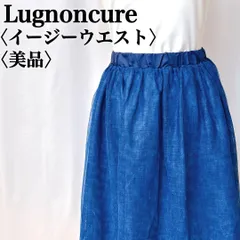 【美品】ルノンキュール シースルーサーフェスイージーウェストスカートのサムネイル