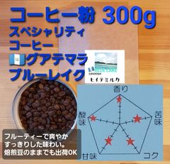 コーヒー粉orコーヒー豆300g　ブルーレイク
