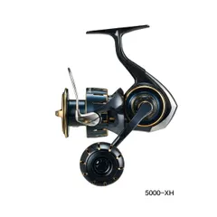 DAIWA 10ソルティガ5000 4500スプール・ケース付 SALTIGA DAIWA 10ソルティガ5000 4500スプール・ケース付 SALTIGA DAIWA 10