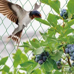 2023年最新】防鳥ネットの人気アイテム - メルカリ