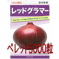 カネコ種苗　レッドグラマー　玉葱　ペレット５０００粒