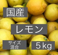 国産レモン 5kgのサムネイル
