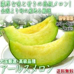 アールスメロン 約3～4kg 2玉入り 静岡・茨城・高知県産中心 贈答規格 別名マスクメロン！日本を代表する高級フルーツ