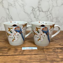 美濃焼】ぐい呑み 9客揃 おちょこ 酒器 セット 木箱入 Guinomi