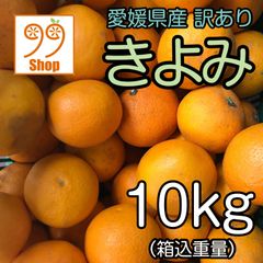 愛媛県産 きよみ 10kg 1799円 訳あり家庭用 柑橘