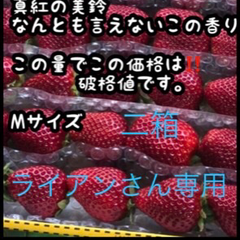 いちご　高級品種黒苺