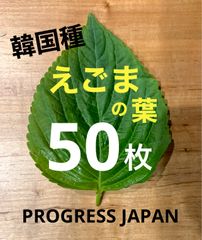 【ハウス栽培】韓国種　エゴマの葉　50枚